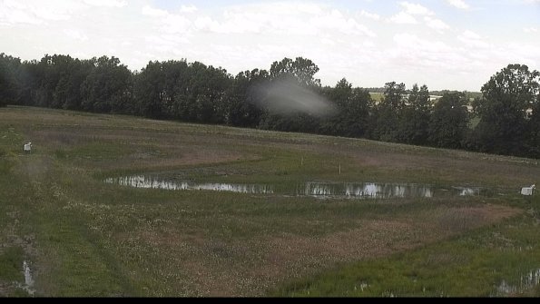 capture-4-22-06-10_13-58-18-35