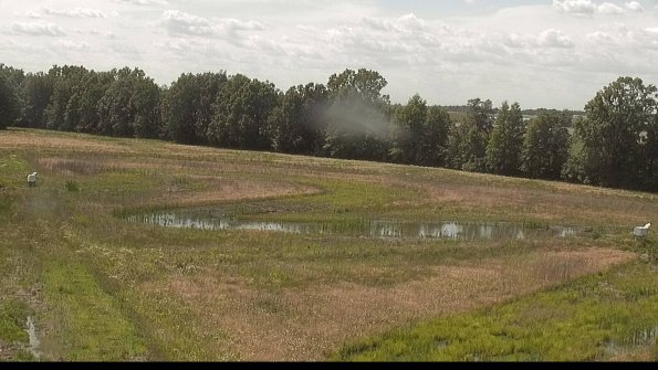 capture-4-22-06-10_16-03-05-50