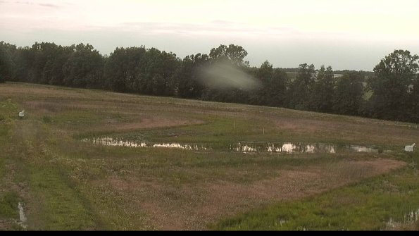 capture-4-22-06-10_19-10-16-44