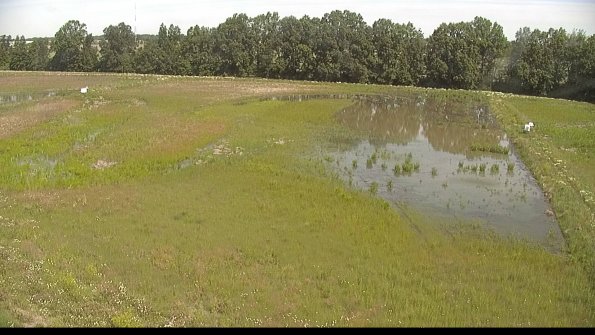 capture-6-22-06-10_10-51-36-63