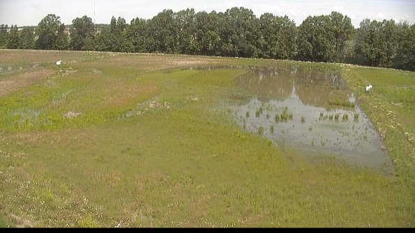 capture-6-22-06-10_11-53-59-79