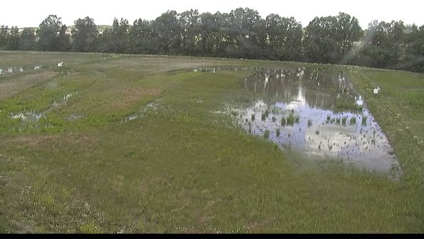 capture-6-22-06-10_13-58-46-61