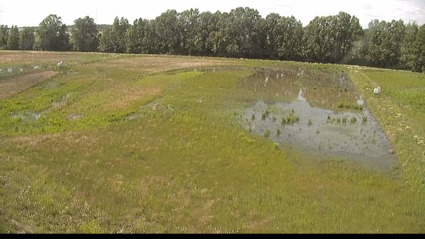 capture-6-22-06-10_16-03-33-69