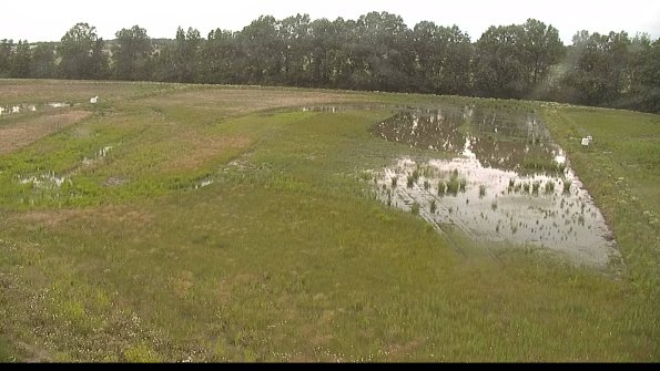 capture-6-22-06-10_19-10-45-40