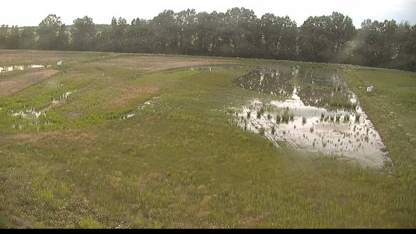 capture-6-22-06-10_20-13-09-36