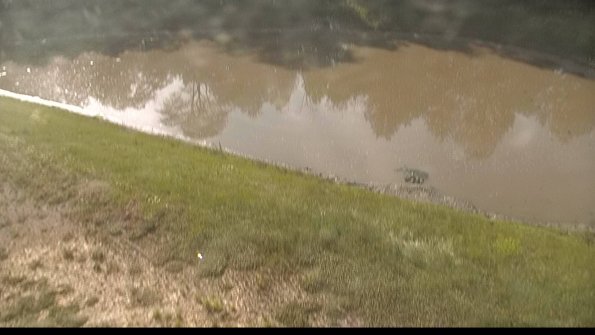 capture-8-22-06-10_08-45-40-41