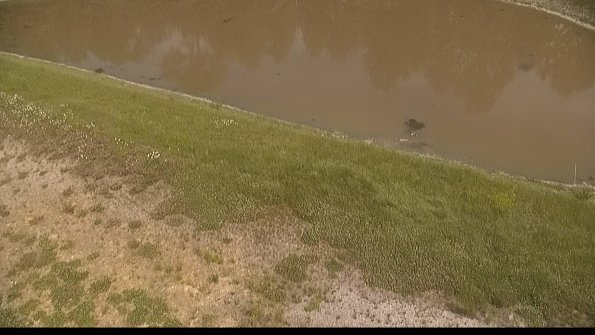 capture-8-22-06-10_16-02-21-32