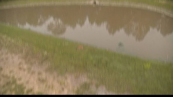 capture-8-22-06-10_20-11-56-36