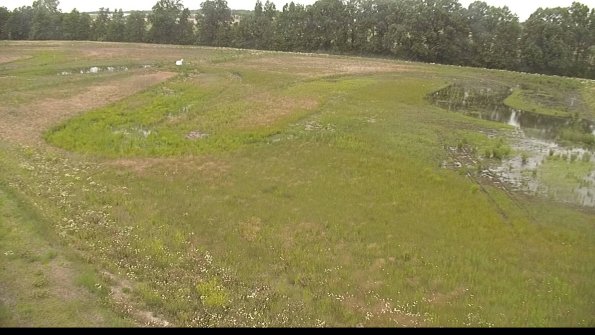 capture-1-22-06-11_12-52-25-19