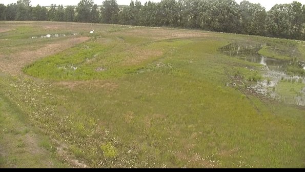 capture-1-22-06-11_13-54-48-34