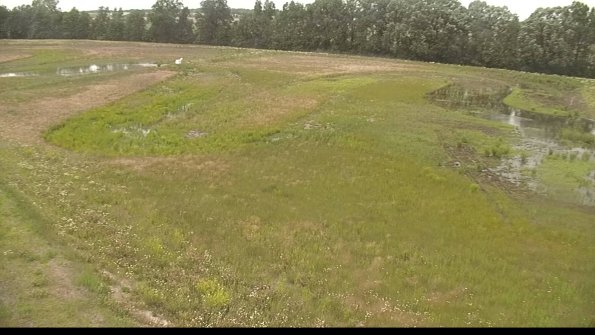 capture-1-22-06-11_14-57-11-27