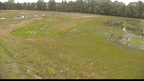 capture-1-22-06-11_15-59-35-30