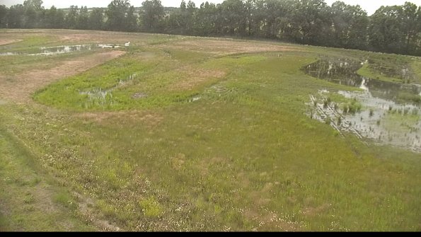 capture-1-22-06-11_19-06-46-31