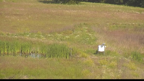 capture-12-22-06-11_08-41-10-41