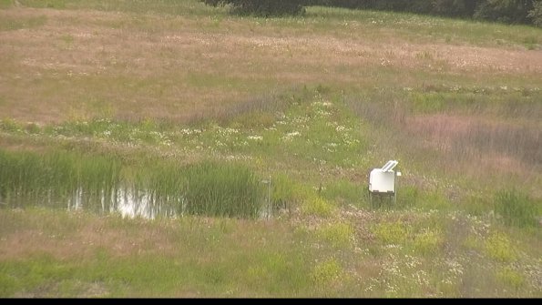 capture-12-22-06-11_12-50-46-25