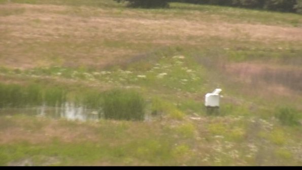 capture-12-22-06-11_14-55-33-37