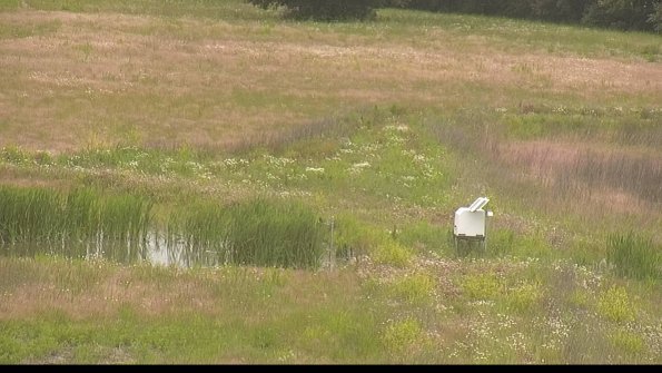 capture-12-22-06-11_18-02-43-38