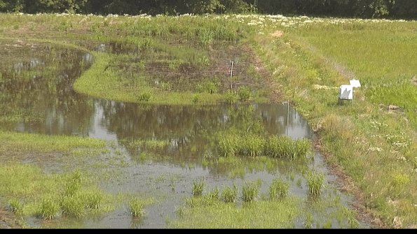 capture-14-22-06-11_10-46-54-39