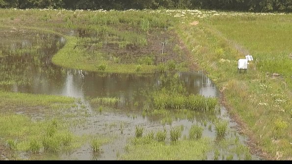 capture-14-22-06-11_11-49-18-31