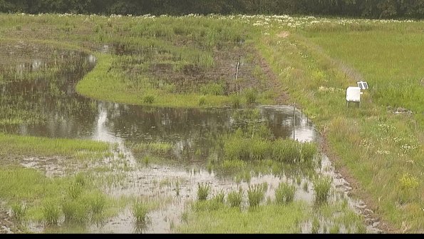 capture-14-22-06-11_17-01-16-31