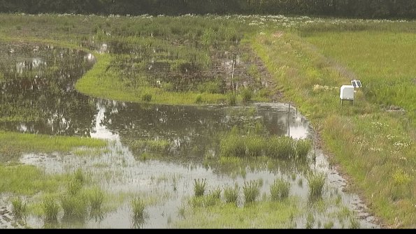 capture-14-22-06-11_19-06-04-33