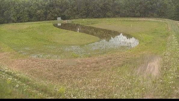 capture-15-22-06-11_12-51-56-49