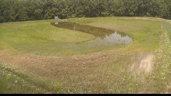 capture-15-22-06-11_13-54-20-48