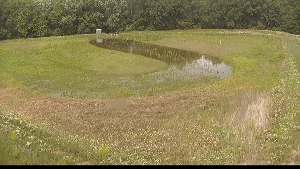 capture-15-22-06-11_14-56-43-47