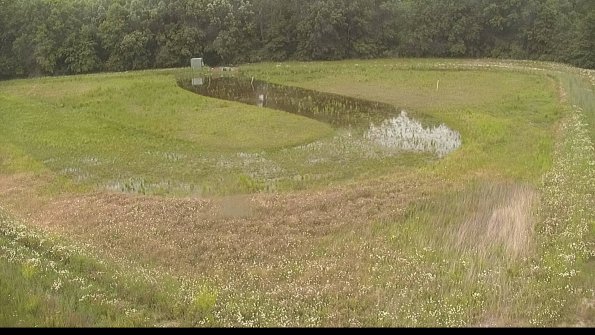 capture-15-22-06-11_18-03-54-35