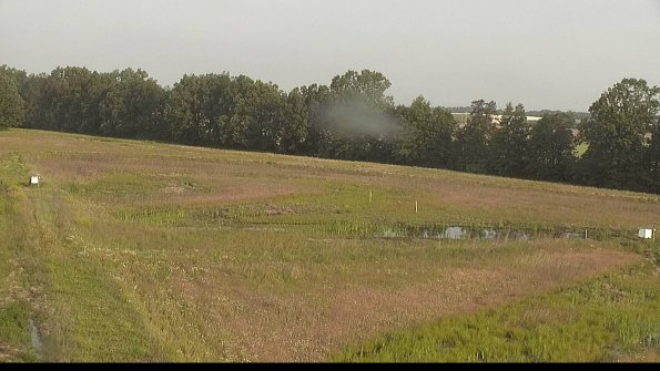 capture-4-22-06-11_07-39-00-36