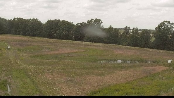 capture-4-22-06-11_12-51-00-27