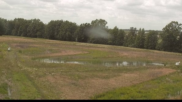 capture-4-22-06-11_14-55-48-19