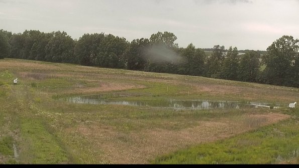 capture-4-22-06-11_18-02-57-33