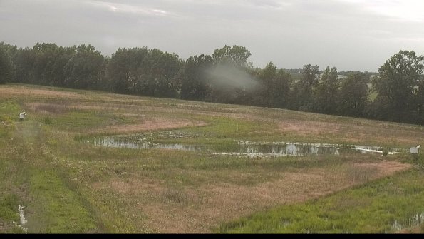 capture-4-22-06-11_19-05-21-42