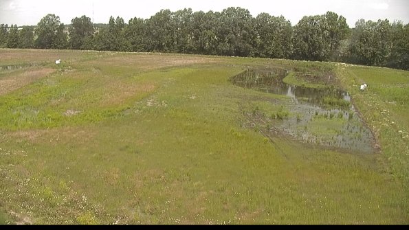 capture-6-22-06-11_11-49-04-40