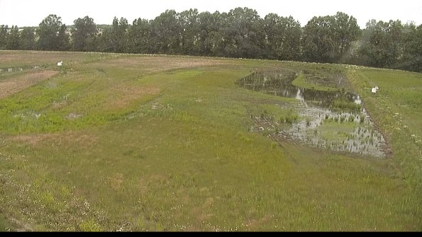 capture-6-22-06-11_12-51-28-36