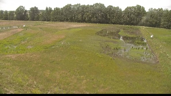 capture-6-22-06-11_14-56-15-51