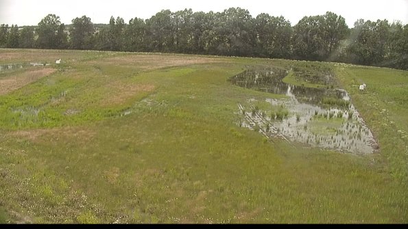 capture-6-22-06-11_18-03-27-26