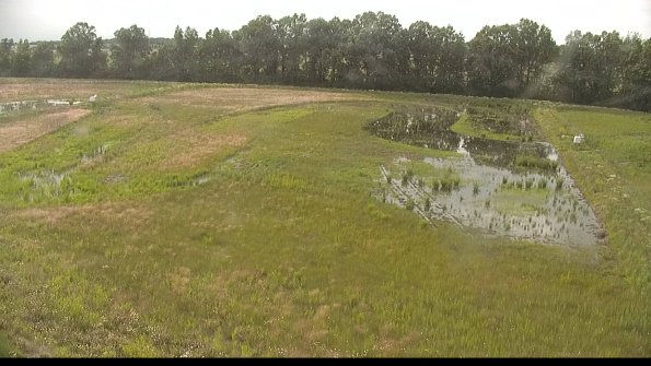 capture-6-22-06-11_19-05-50-39