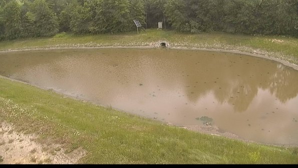 capture-8-22-06-11_12-50-16-26