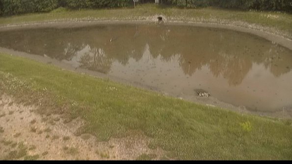 capture-8-22-06-11_14-55-03-41