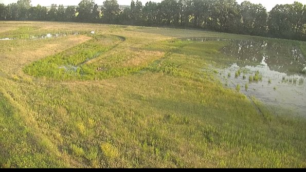 capture-1-22-06-15_06-59-59-13