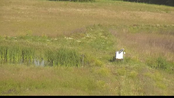 capture-12-22-06-15_08-21-14-46