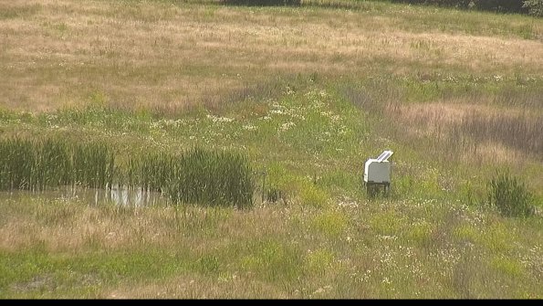 capture-12-22-06-15_14-35-35-49