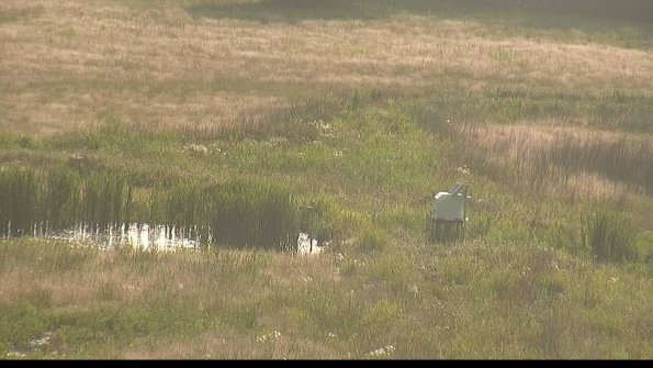 capture-12-22-06-15_18-45-09-29