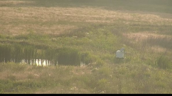 capture-12-22-06-15_19-47-33-31