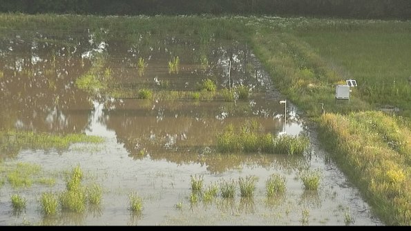 capture-14-22-06-15_07-19-47-39