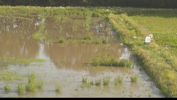 capture-14-22-06-15_08-22-11-35