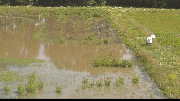 capture-14-22-06-15_10-26-58-33