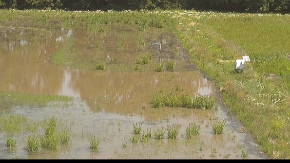 capture-14-22-06-15_11-29-21-39